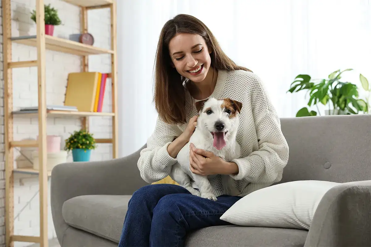 Uśmiechnięty piesek Jack Russell w ramionach młodej kobiety siedzącej na kanapie. Radosny psiak z wywieszonym językiem.