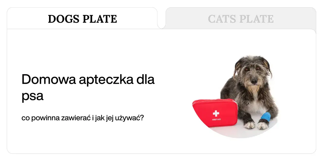 Domowa psia apteczka obok psa z bandażem na łapie. Dowiedz się, co powinna zawierać i jak jej używać.