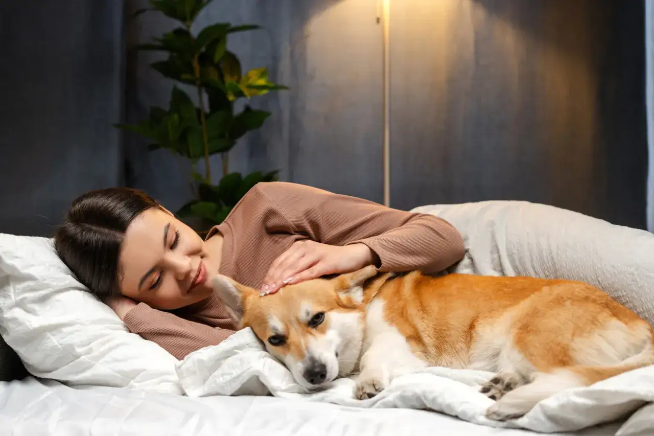 Uśmiechnięta kobieta i jej corgi leżą razem w łóżku. Spanie z psem to najlepszy sposób na relaks.