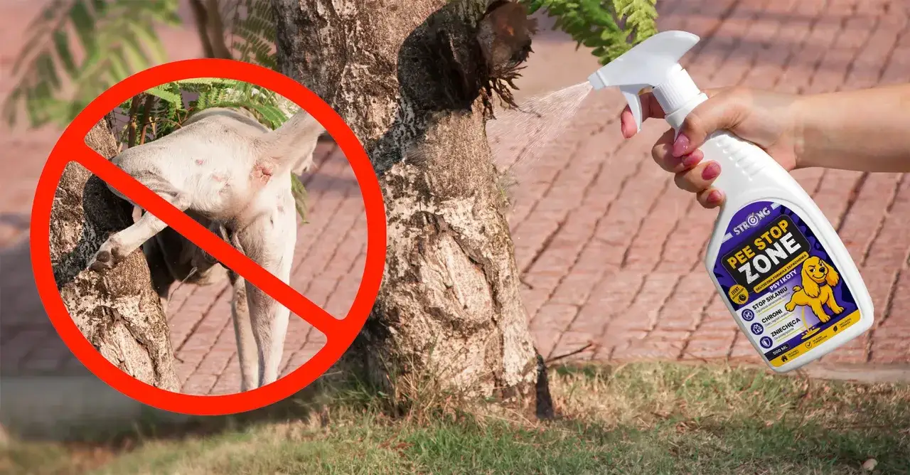 Chcesz wiedzieć, czym pryskać, żeby pies nie sikał? Ten spray 