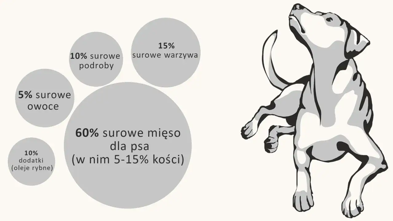 Grafika przedstawia psa i koła z proporcjami barf: 60% mięsa, 15% warzyw, 10% podrobów, 5% owoców, 10% dodatków.