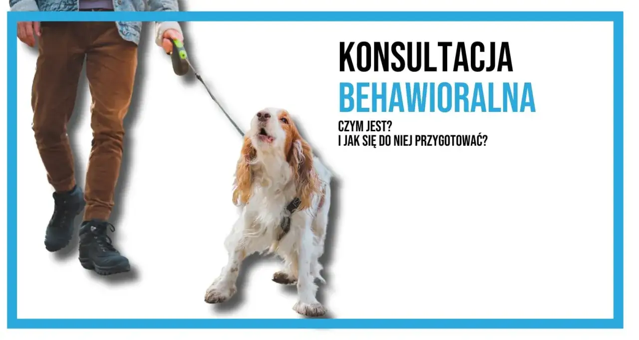 Konsultacja behawioralna dla psa. Dowiedz się, czym jest i jak się przygotować.