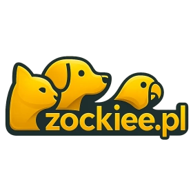 zockiee.pl